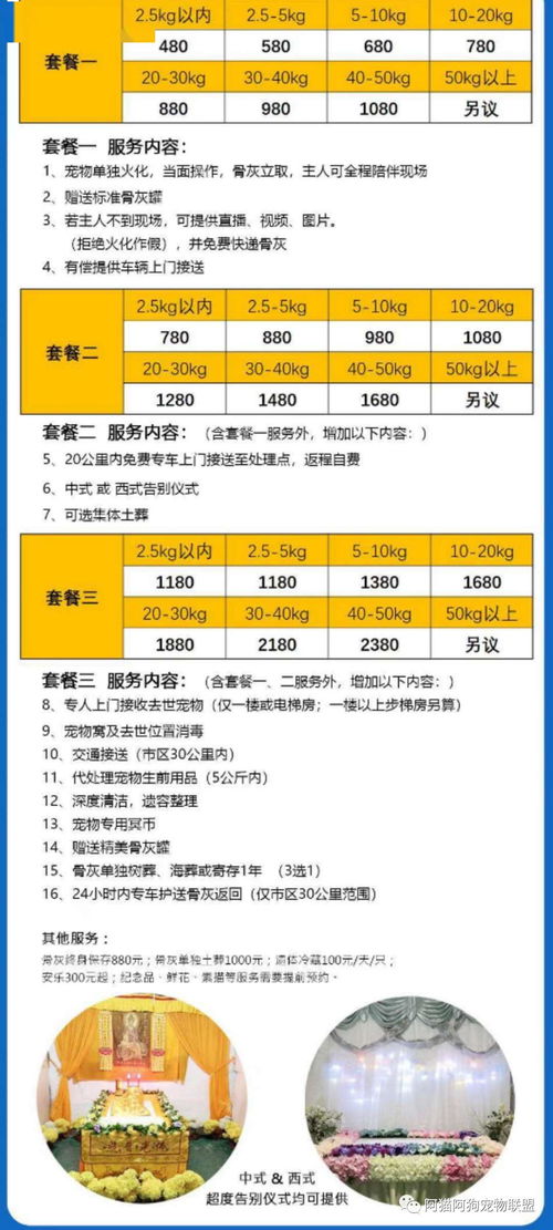 让每一次告别都庄重 宠物殡葬定制化服务，见证生命的体面升华